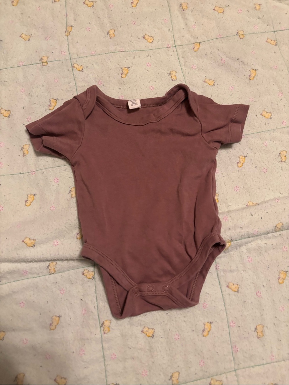 Colored Organics Mauve Short-Sleeve Baby One-Piece